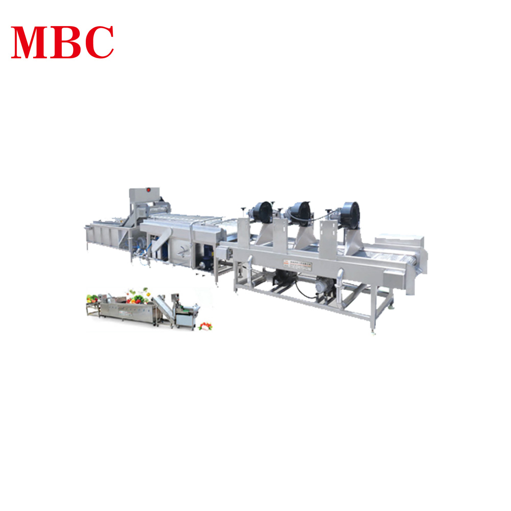 Vegetable & Fruits Washing Processing Production Line