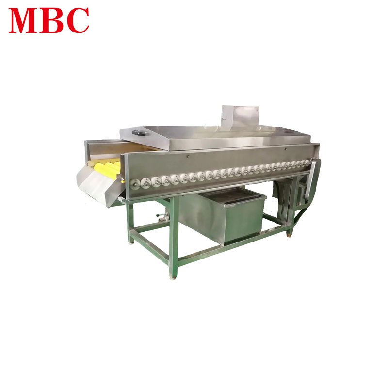 Brush cleaning machine